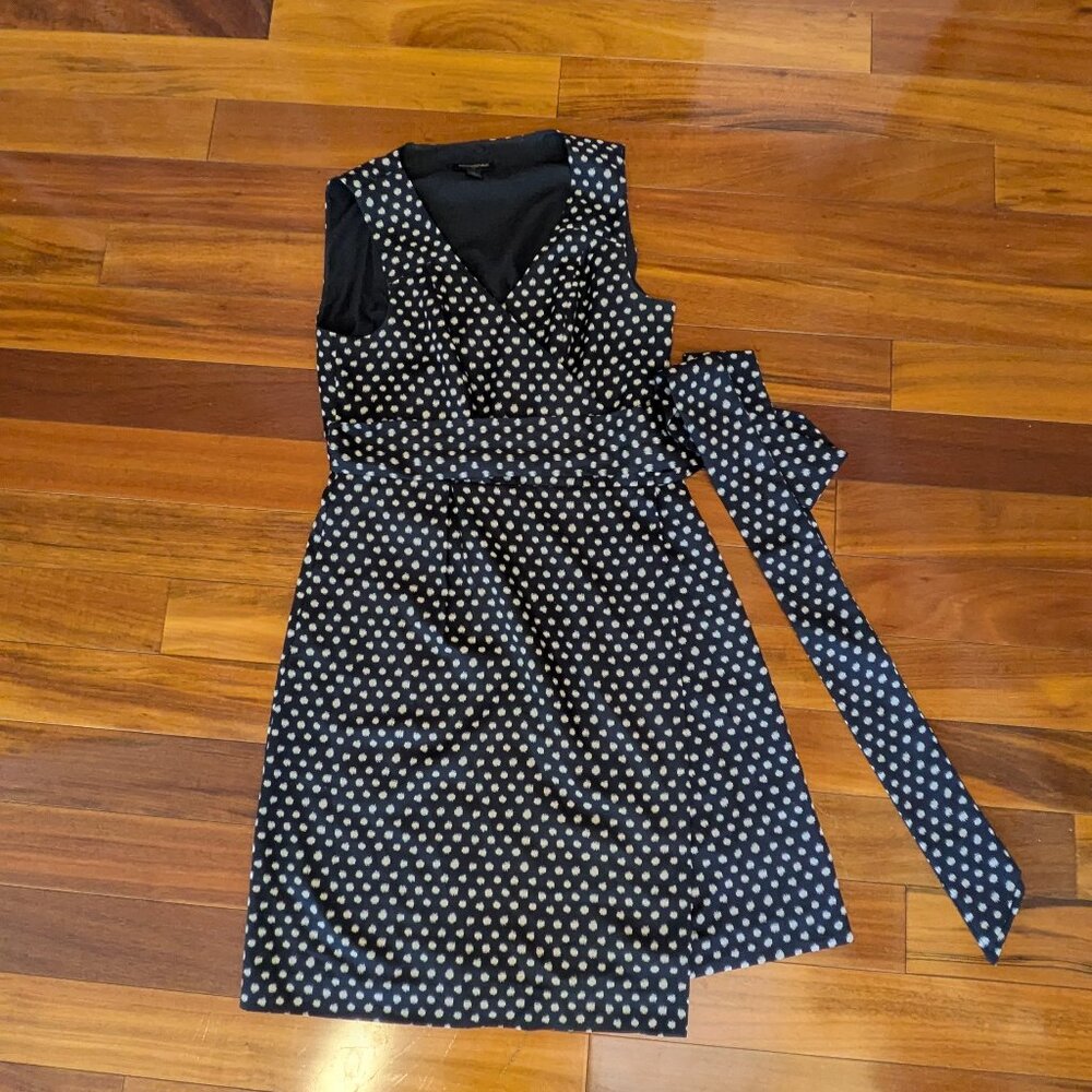 Banana Republic Wrap Dress (6)
